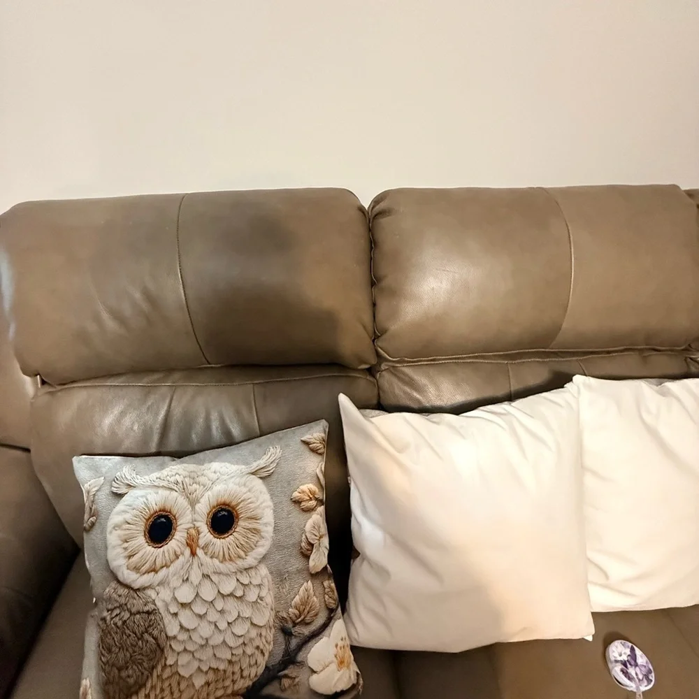 Four New Owl Embroidered Look  Throw Pillows 17” X 17”